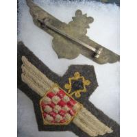 Croatia: Air Legion badges
