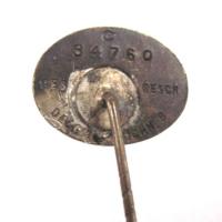 Germany: SS Supporters pin