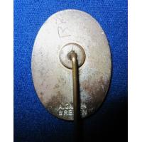 Germany: SA Standart pin