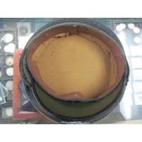 Germany: Flight NCO vosir