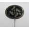 Germany: SS Supporters pin