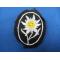 Germany: SS Mountain troops sleeve shield.