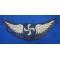 US: WWI period enlisted pilot wings